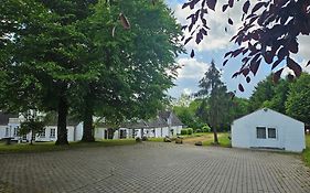 Trandafir Guesthouse